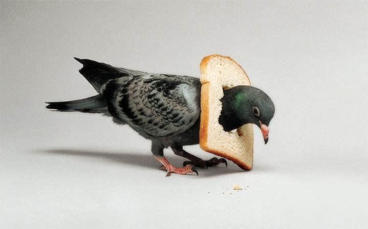 creative-photo-manipulation-nancy-fouts